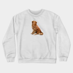 Nova Scotia Duck Tolling Retriever - just the dog Crewneck Sweatshirt